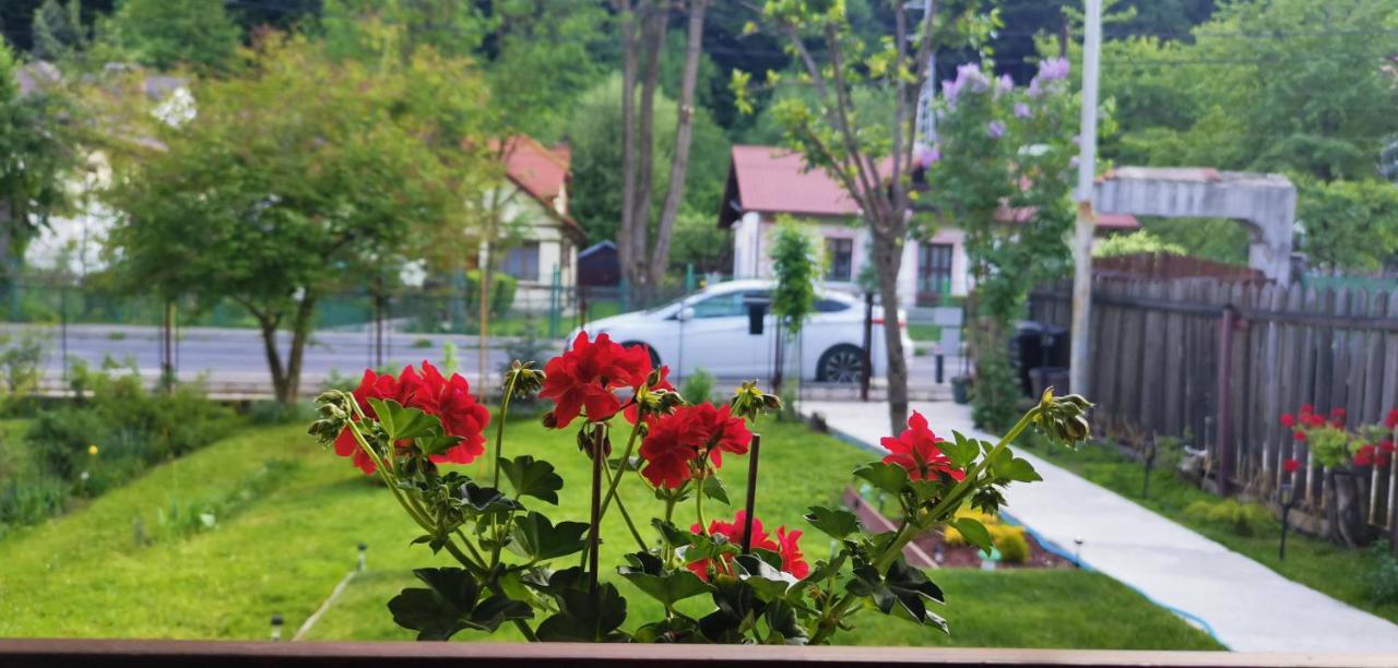 Villa Casa Bunicilor Sinaia Esterno foto