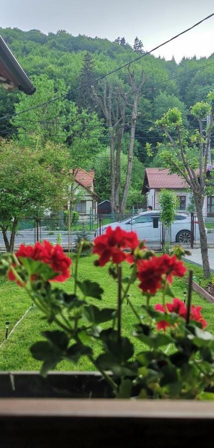 Villa Casa Bunicilor Sinaia Esterno foto